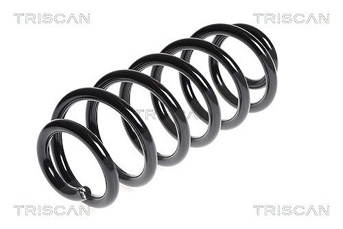 Triscan Fahrwerksfeder [Hersteller-Nr. 875029246] für Seat