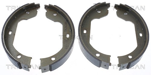 Triscan Bremsbackensatz, Feststellbremse [Hersteller-Nr. 810011012] für BMW, VW