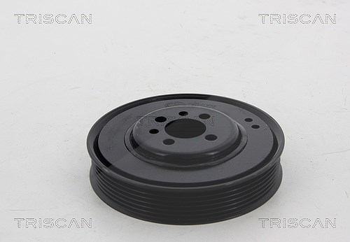 Triscan Riemenscheibe, Kurbelwelle [Hersteller-Nr. 864329003] für Audi, Skoda, Seat, VW