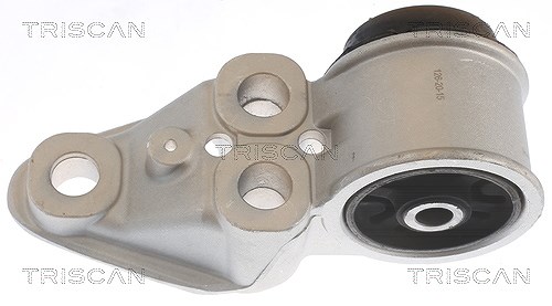 Triscan Lagerung, Achskörper [Hersteller-Nr. 850029863] für VW, Audi, Skoda