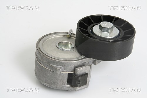 Triscan Spannarm, Keilrippenriemen [Hersteller-Nr. 8641103032] für Ford, Volvo, Lancia, Citroën, Peugeot, Fiat