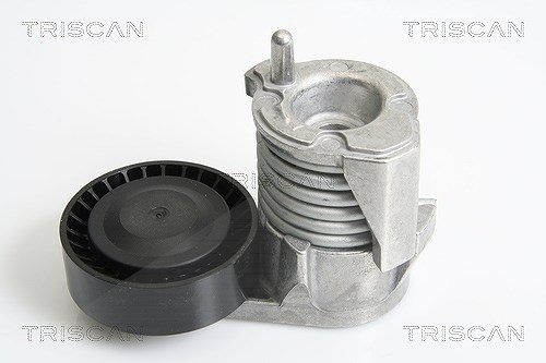 Triscan Riemenspanner, Keilrippenriemen [Hersteller-Nr. 8641103029] für Ford, Volvo