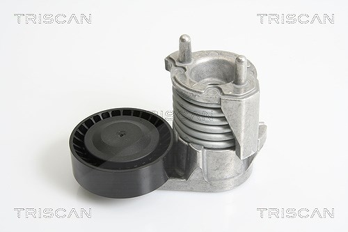 Triscan Riemenspanner, Keilrippenriemen [Hersteller-Nr. 8641103025] für Volvo, Ford
