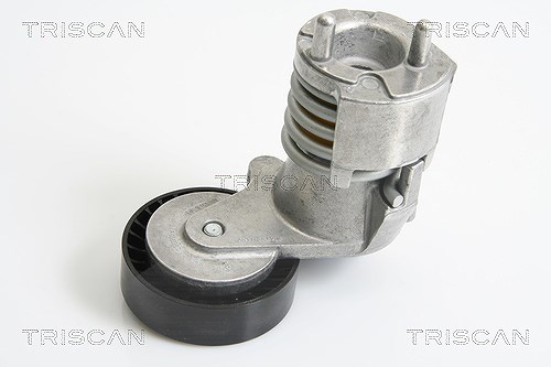 Triscan Riemenspanner, Keilrippenriemen [Hersteller-Nr. 8641103024] für Ford, Volvo