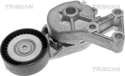 Triscan Spannarm, Keilrippenriemen [Hersteller-Nr. 8641103006] für Ford, Seat, Skoda, VW, Audi