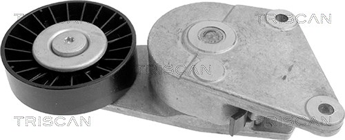 Triscan Spannarm, Keilrippenriemen [Hersteller-Nr. 8641103005] für Lancia, Citroën, Peugeot, Fiat