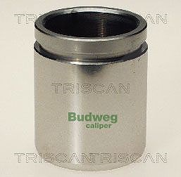 Triscan Kolben, Bremssattel [Hersteller-Nr. 8170234208] für Ford