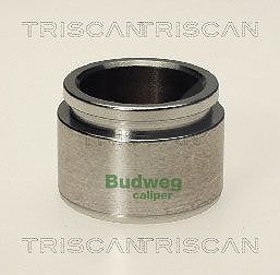Triscan Kolben, Bremssattel [Hersteller-Nr. 8170234025] für Nissan, Subaru