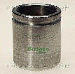 Triscan Kolben, Bremssattel [Hersteller-Nr. 8170234331] für Hyundai, Kia, Ford, Nissan