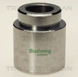 Triscan Kolben, Bremssattel [Hersteller-Nr. 8170234519] für Toyota, Lexus