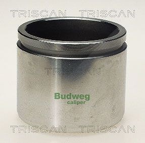 Triscan Kolben, Bremssattel [Hersteller-Nr. 8170235719] für Mazda