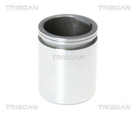 Triscan Kolben, Bremssattel [Hersteller-Nr. 8170234866] für Nissan, Mercedes-Benz, VW, Iveco
