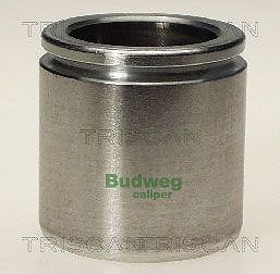 Triscan Kolben, Bremssattel [Hersteller-Nr. 8170234846] für Citroën, Chevrolet, Jaguar, Peugeot, Vauxhall, Opel, Daewoo