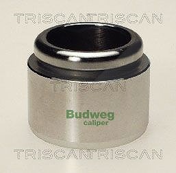 Triscan Kolben, Bremssattel [Hersteller-Nr. 8170234405] für Mercedes-Benz, Iveco