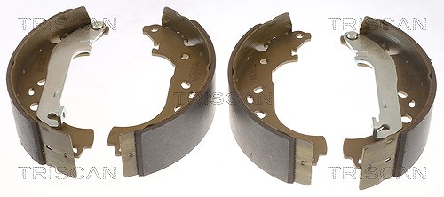 Triscan Bremsbackensatz [Hersteller-Nr. 810016009] für Ford