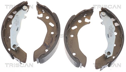 Triscan Bremsbackensatz [Hersteller-Nr. 810010586] für Mazda, Ford