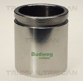 Triscan Kolben, Bremssattel [Hersteller-Nr. 8170234831] für VW, Seat