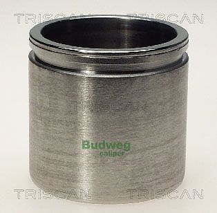 Triscan Kolben, Bremssattel [Hersteller-Nr. 8170235716] für Audi, VW, Lancia, BMW, Suzuki, Peugeot, Opel, Seat, Skoda, Mercedes-Benz, Mini, Citroën, F