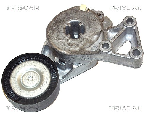 Triscan Spannarm, Keilrippenriemen [Hersteller-Nr. 8641293003] für Skoda, Audi, VW, Seat