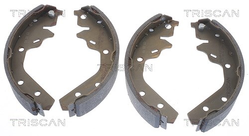 Triscan Bremsbackensatz [Hersteller-Nr. 810010592] für Chrysler, Dodge, Plymouth