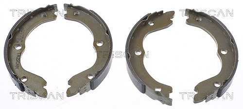 Triscan Bremsbackensatz Feststellbremse [Hersteller-Nr. 810014006] für Nissan