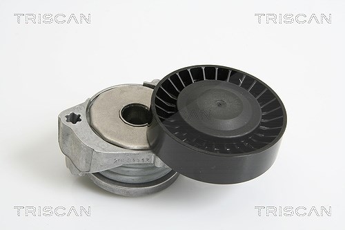 Triscan Spannarm, Keilrippenriemen [Hersteller-Nr. 8641103026] für Volvo, Ford