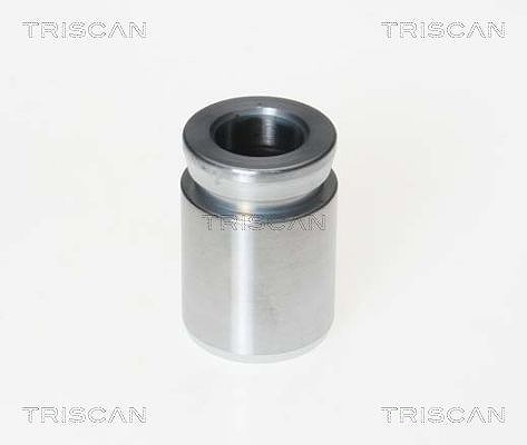 Triscan Kolben, Bremssattel [Hersteller-Nr. 8170233304] für BMW