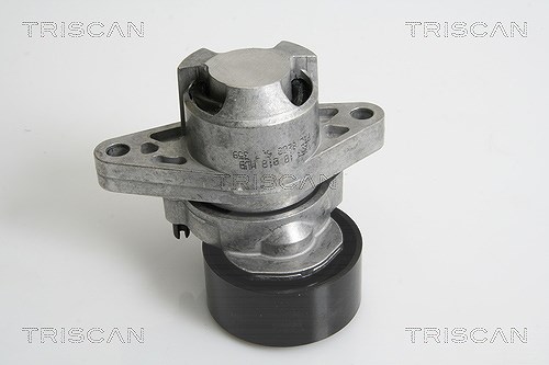Triscan Spannarm, Keilrippenriemen [Hersteller-Nr. 8641253008] für Dacia, Renault, Nissan