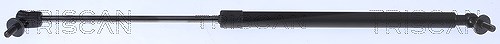 Triscan Gasfeder, Koffer-/Laderaum [Hersteller-Nr. 871080206] für Jeep