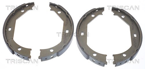Triscan Bremsbackensatz Feststellbremse [Hersteller-Nr. 810011638] für BMW
