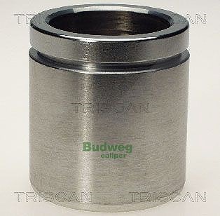 Triscan Kolben, Bremssattel [Hersteller-Nr. 8170235461] für VW, Seat, Audi, Skoda
