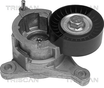 Triscan Spannarm, Keilrippenriemen [Hersteller-Nr. 8641103004] für Fiat, Peugeot, Lancia, Citroën