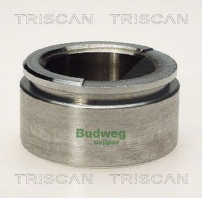Triscan Kolben, Bremssattel [Hersteller-Nr. 8170235709] für Mercedes-Benz