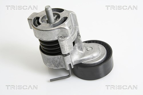 Triscan Riemenspanner, Keilrippenriemen [Hersteller-Nr. 8641113029] für BMW