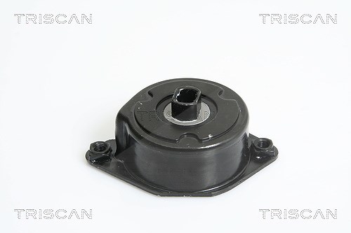 Triscan Riemenspanner, Keilrippenriemen [Hersteller-Nr. 8641113028] für BMW, Land Rover, Opel
