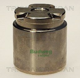 Triscan Kolben, Bremssattel [Hersteller-Nr. 8170234308] für Ford, Mazda, Nissan