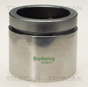 Triscan Kolben, Bremssattel [Hersteller-Nr. 8170236019] für VW, BMW