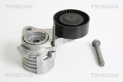 Triscan Riemenspanner, Keilrippenriemen [Hersteller-Nr. 8641113027] für BMW