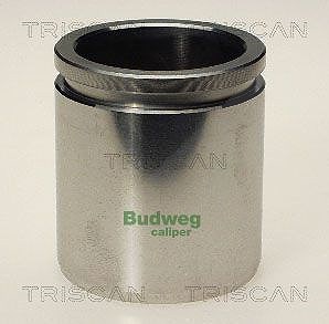 Triscan Kolben, Bremssattel [Hersteller-Nr. 8170234810] für Peugeot, Fiat, Land Rover, Alfa Romeo, Lada, Citroën, Volvo, Toyota, Dacia, Renault, Audi,