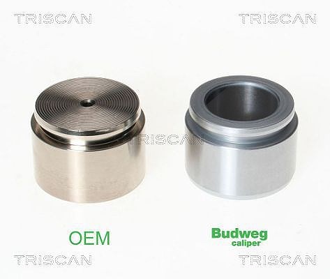Triscan Kolben, Bremssattel [Hersteller-Nr. 8170234420] für Jaguar, Mercedes-Benz, VW, BMW, Nissan