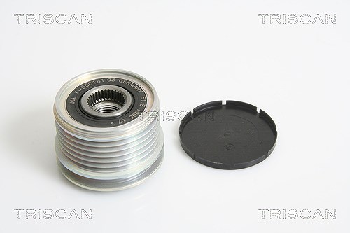 Triscan Generatorfreilauf [Hersteller-Nr. 8641254005] für Mercedes-Benz, Renault, Dacia, Nissan, Lada, Audi