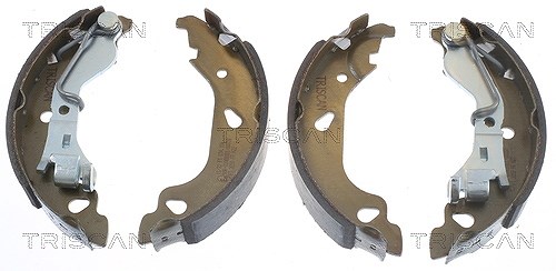 Triscan Bremsbackensatz Trommelbremse [Hersteller-Nr. 810015013] für Fiat