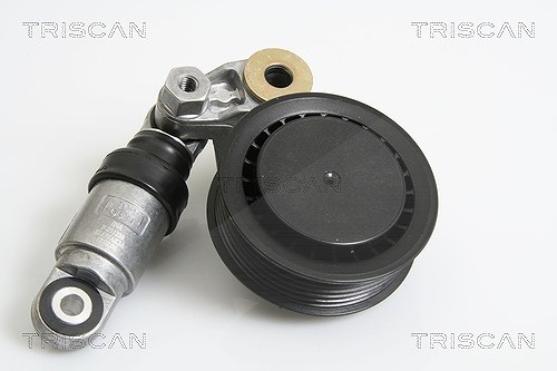 Triscan Riemenspanner, Keilrippenriemen [Hersteller-Nr. 8641293030] für VW