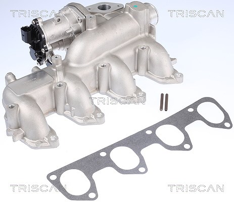 Triscan AGR-Ventil [Hersteller-Nr. 881316160] für Ford