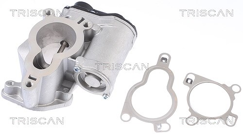 Triscan AGR-Ventil [Hersteller-Nr. 881314025] für Nissan
