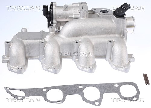 Triscan AGR-Ventil [Hersteller-Nr. 881316155] für Ford