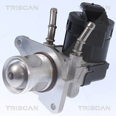 Triscan AGR-Ventil [Hersteller-Nr. 881311001] für BMW