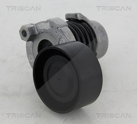 Triscan Spannrolle, Keilrippenriemen [Hersteller-Nr. 8641253012] für Mercedes-Benz, Dacia, Nissan, Renault