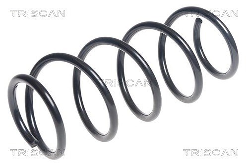 Triscan Fahrwerksfeder [Hersteller-Nr. 875043131] für Hyundai