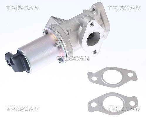 Triscan AGR-Ventil [Hersteller-Nr. 881343024] für Kia, Hyundai
